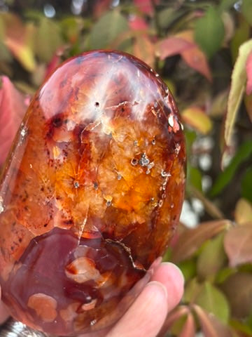 Carnelian Free Form - Madagascar