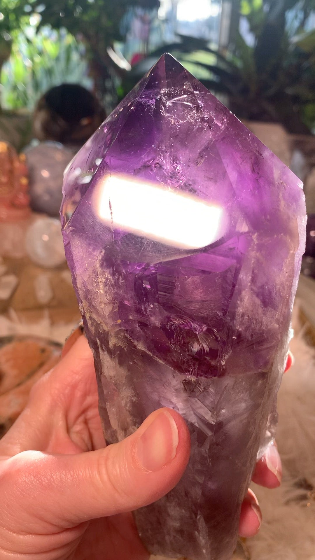 Amethyst Root Point - Brazil