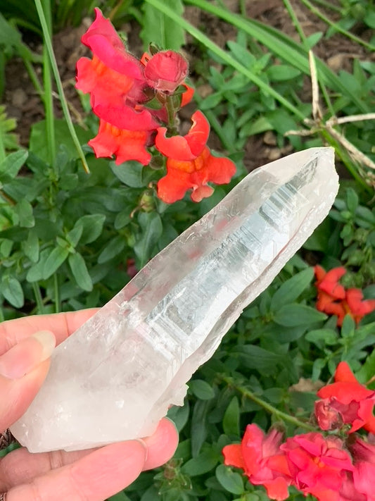 Lemurian Quartz Point