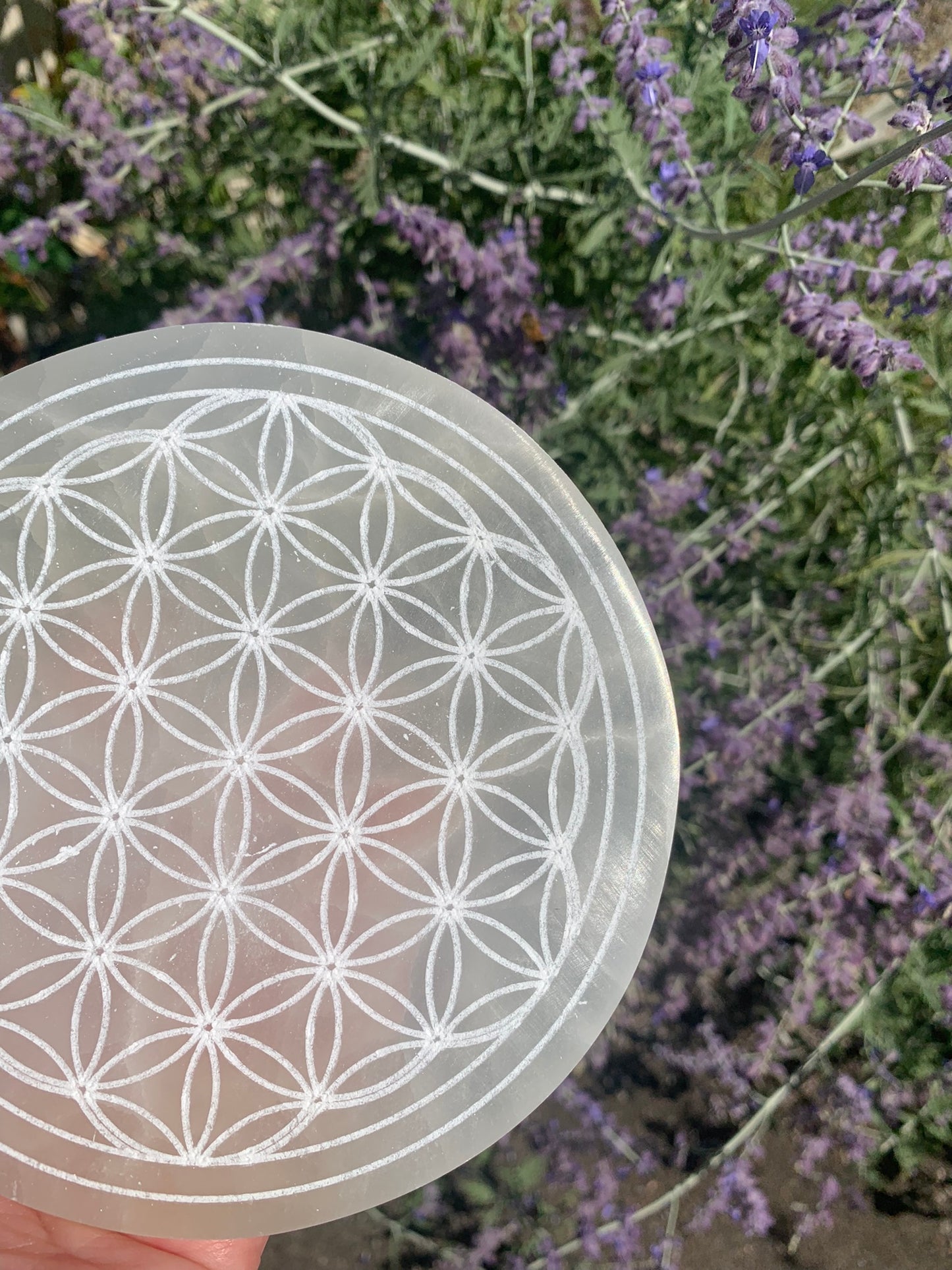 Selenite Flower of Life | Charging Plate - Grid