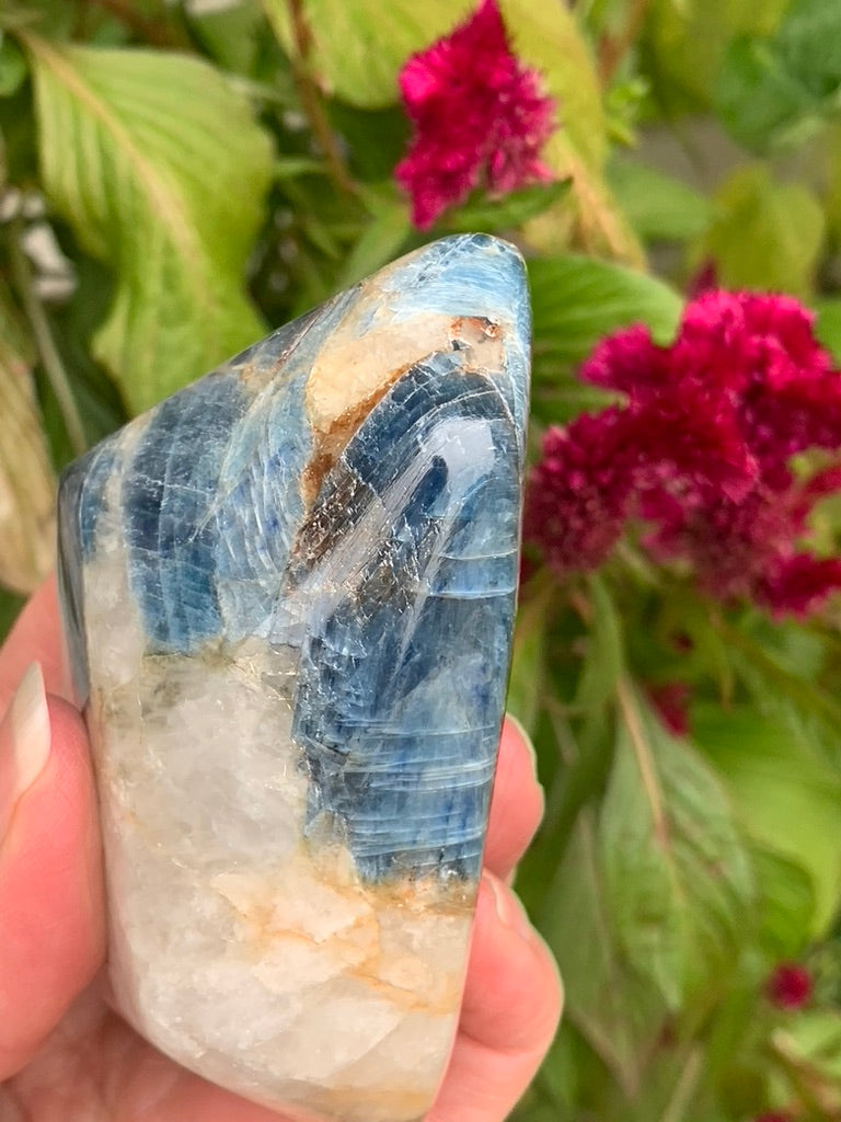 Blue  Kyanite with Quartz Free Form - India