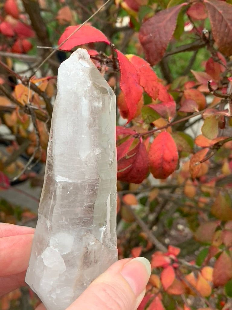 Lemurian Quartz Point