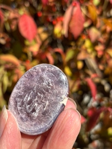 Gem Lepidolite - Palm Stone