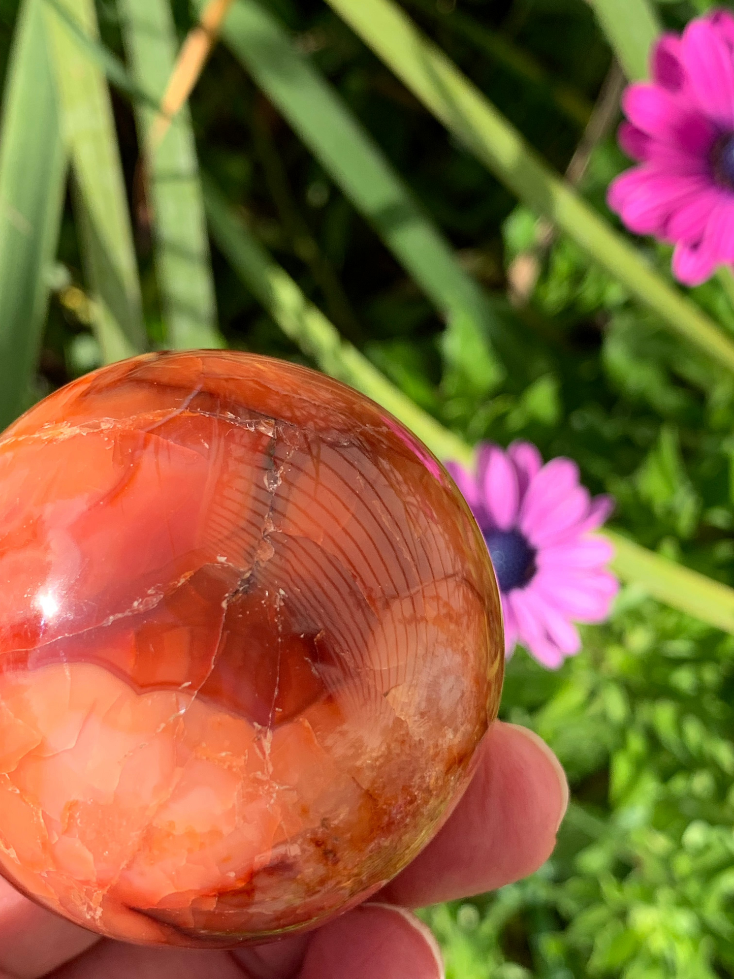 Carnelian Sphere - Madagascar