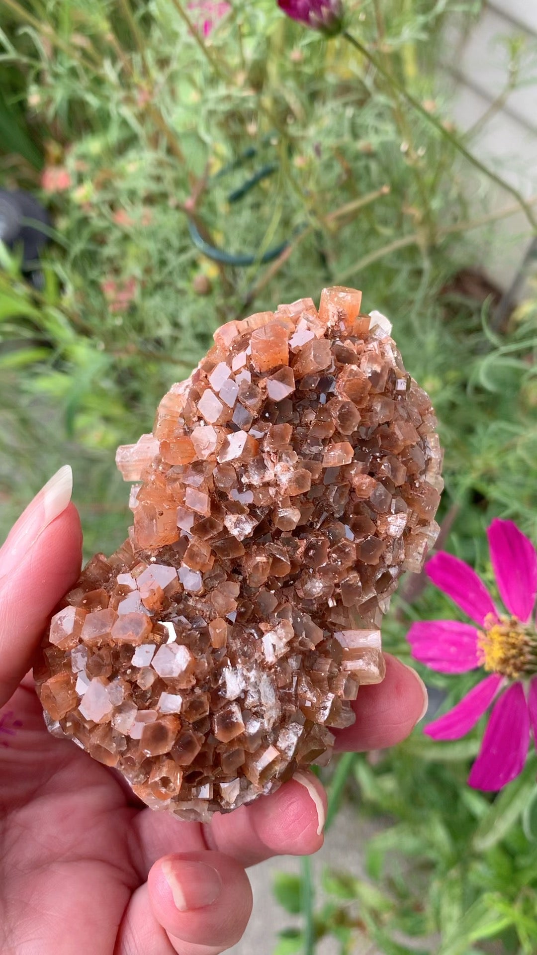 Star Aragonite Cluster