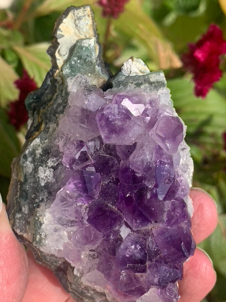 Amethyst Cluster with Goethite Inclusions