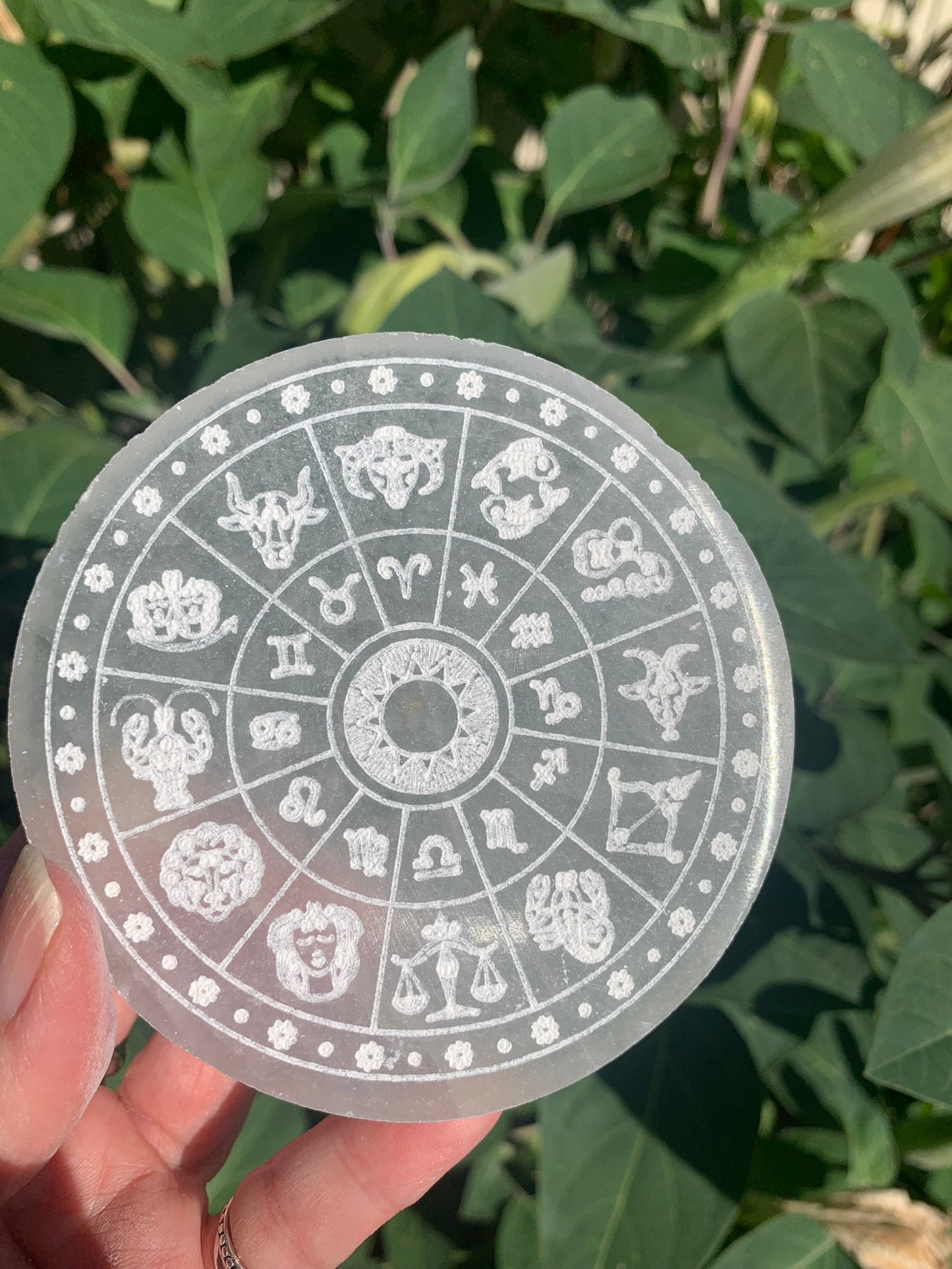 Selenite | Zodiac Wheel SMALL | Charging Plate - Grid