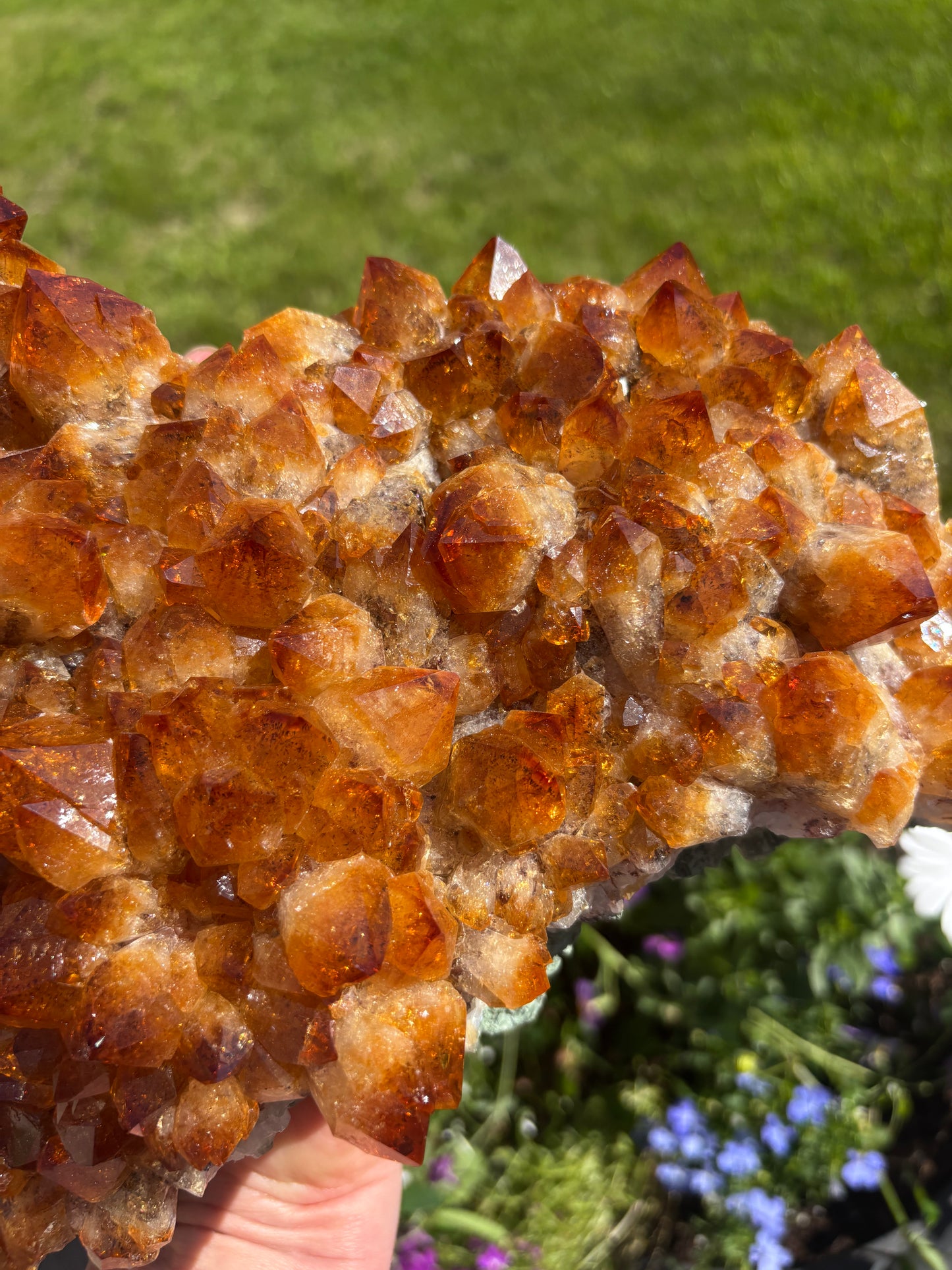 Golden Amethyst - Citrine Cluster - Brazil