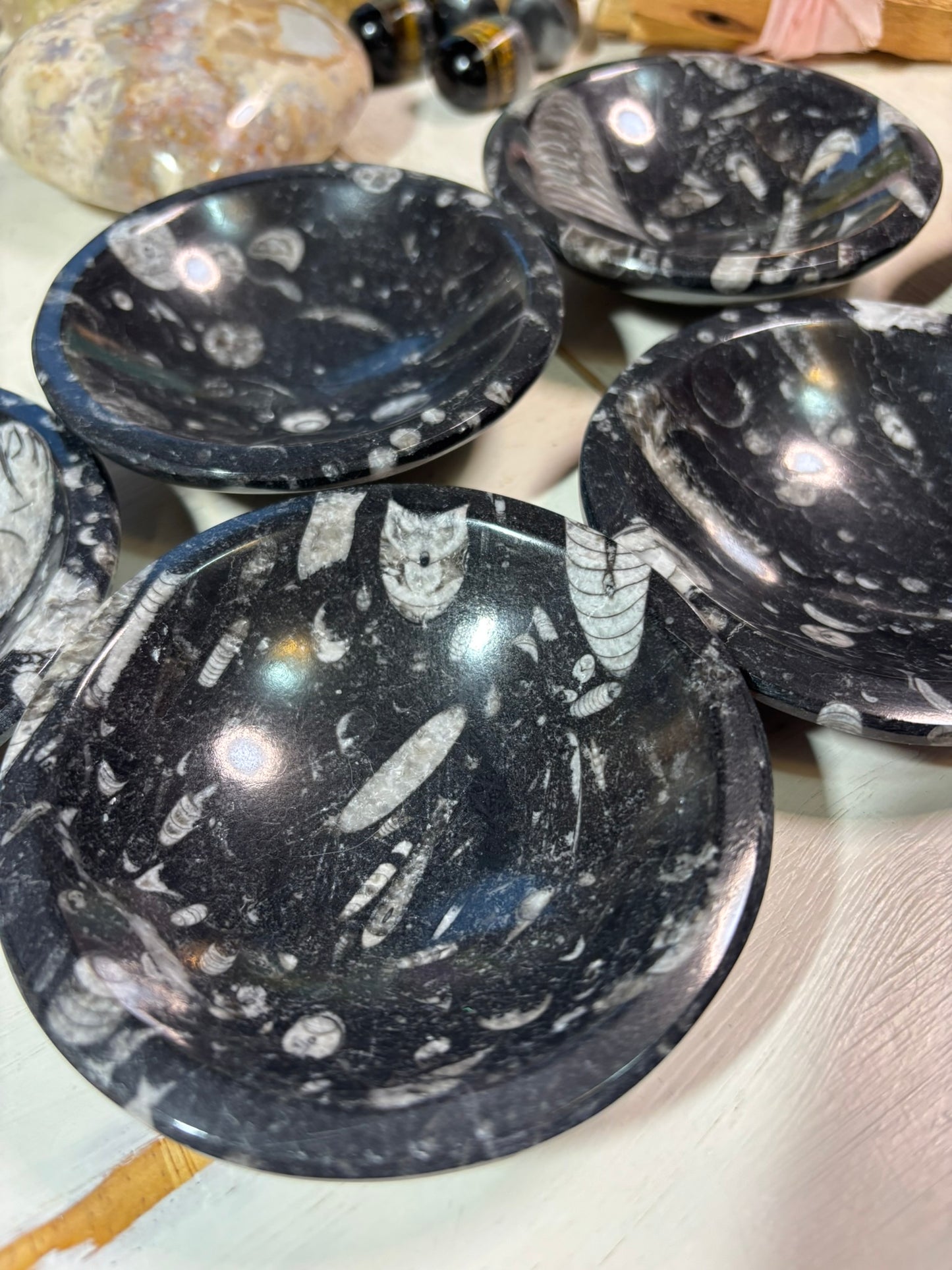 Orthoceras Bowl | Morocco