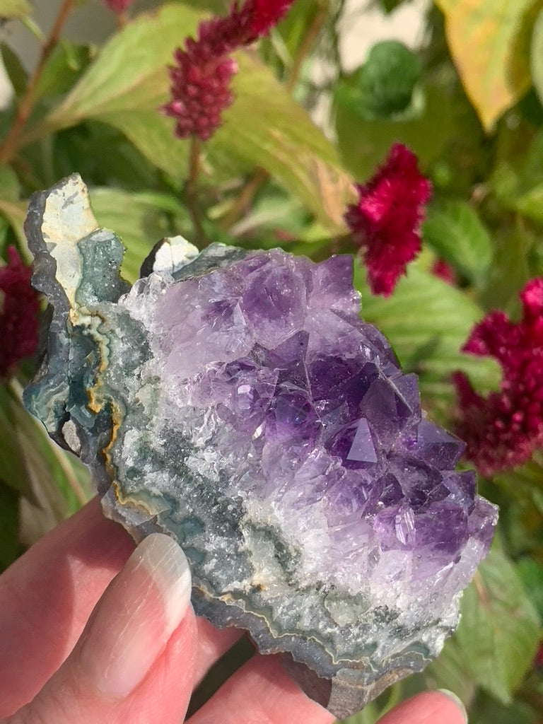 Amethyst Cluster with Goethite Inclusions