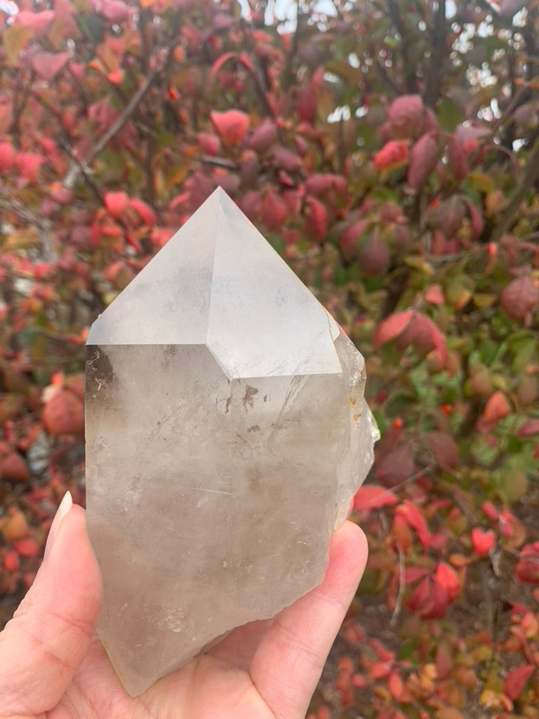 Smokey Lemurian Quartz Point