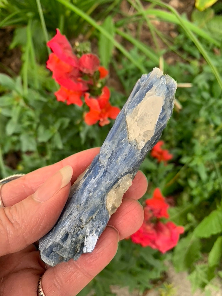 Blue Kyanite with Quartz natural - Brazil