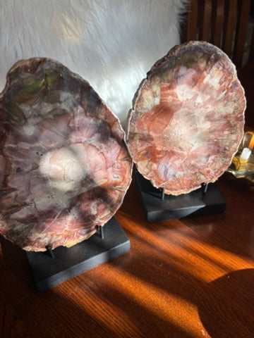 Petrified Wood charging plate set - Madagascar