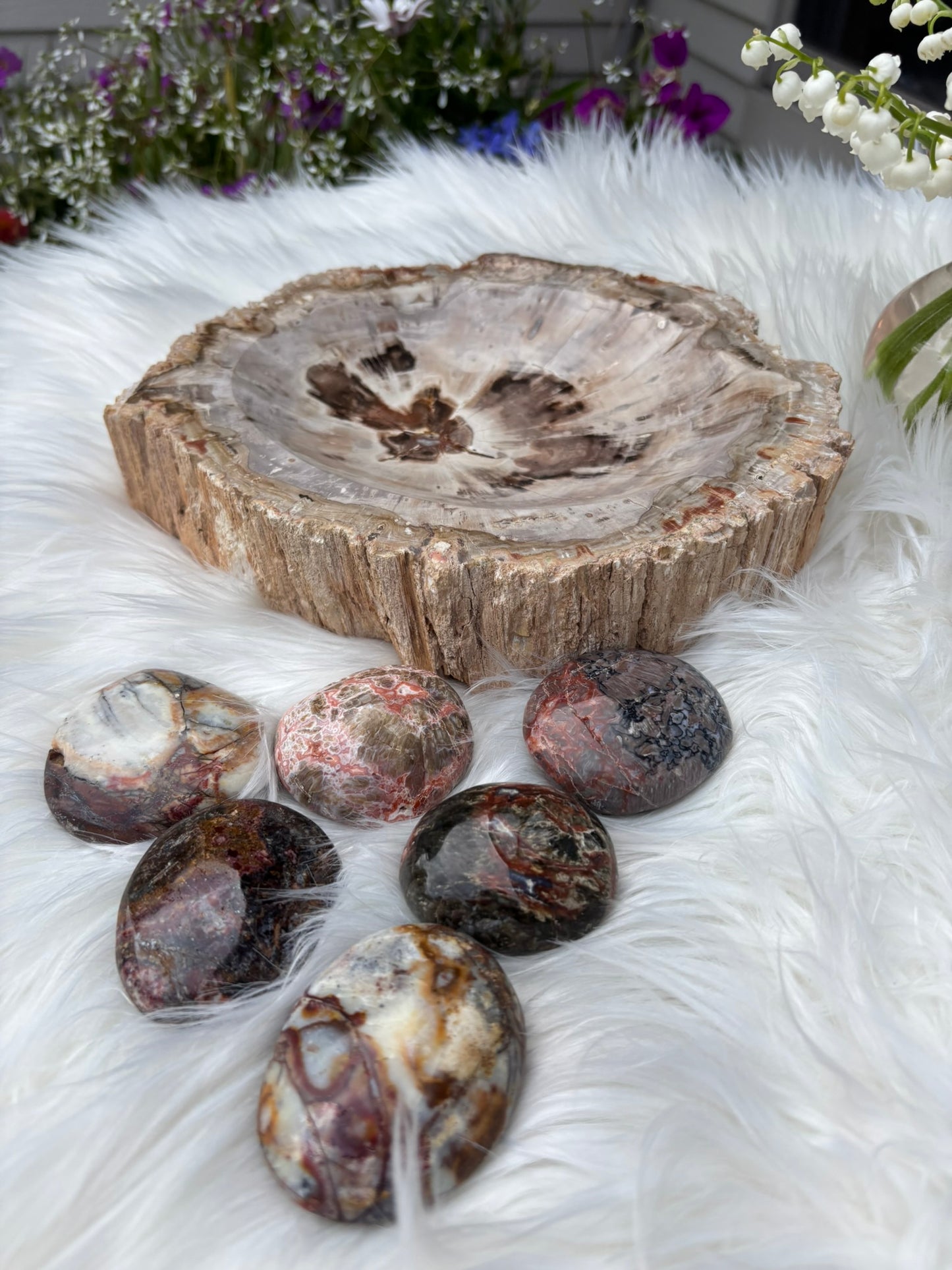Mystical Jasper - Palm Stone | Madagascar