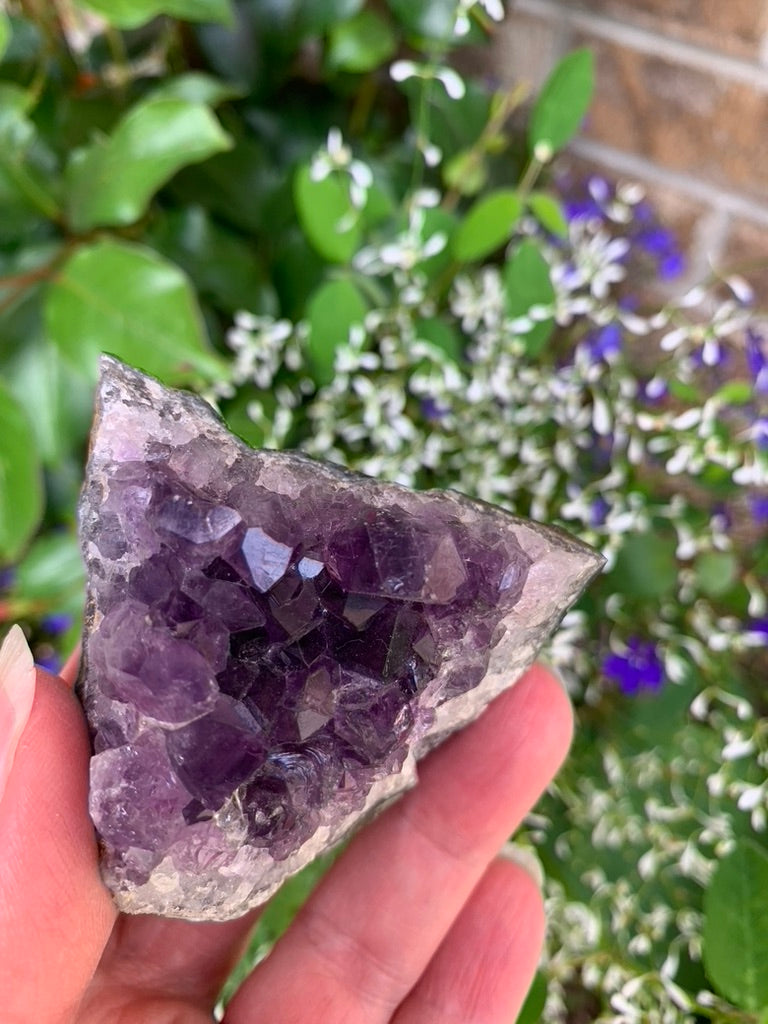 Amethyst Cluster