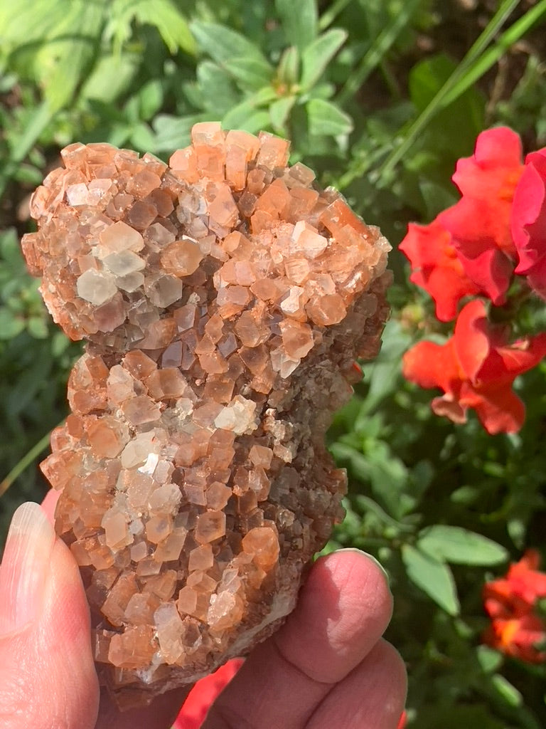 Star Aragonite Cluster