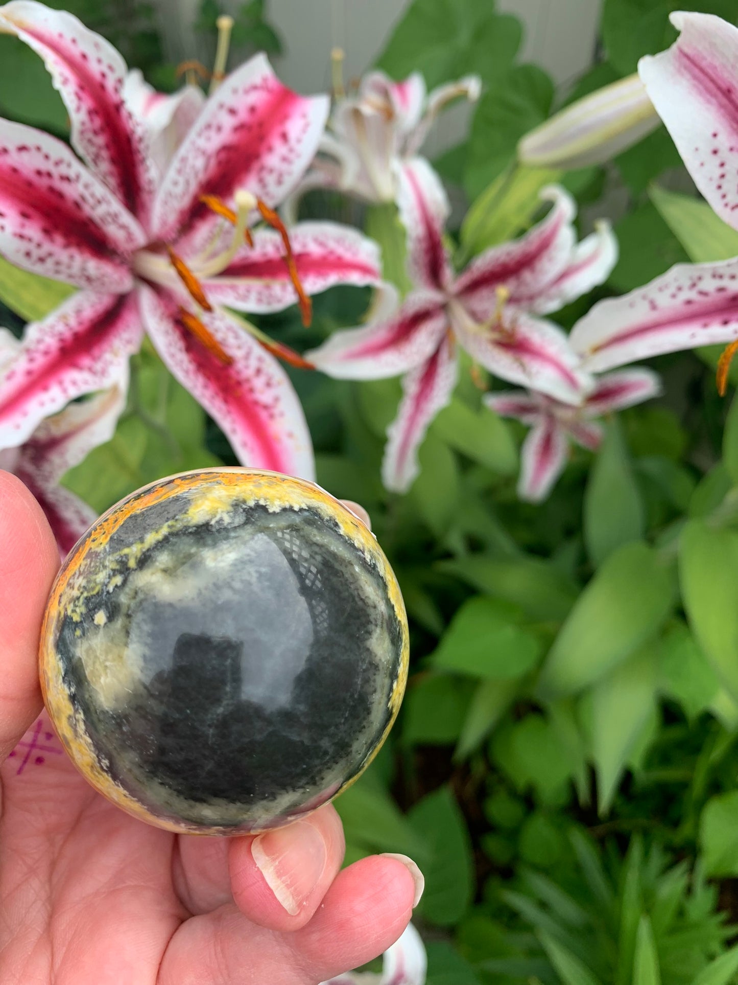 Bumble Bee Jasper Sphere