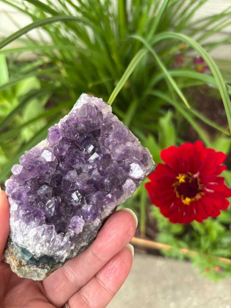 Amethyst Cluster | Uruguay