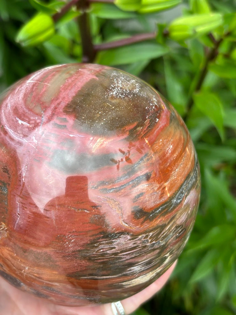 Petrified Wood Sphere - Madagascar