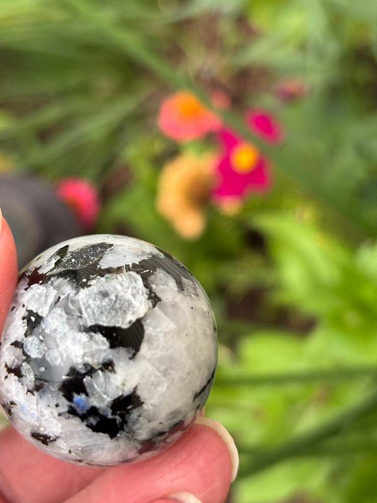 Rainbow Moonstone - Sphere | India