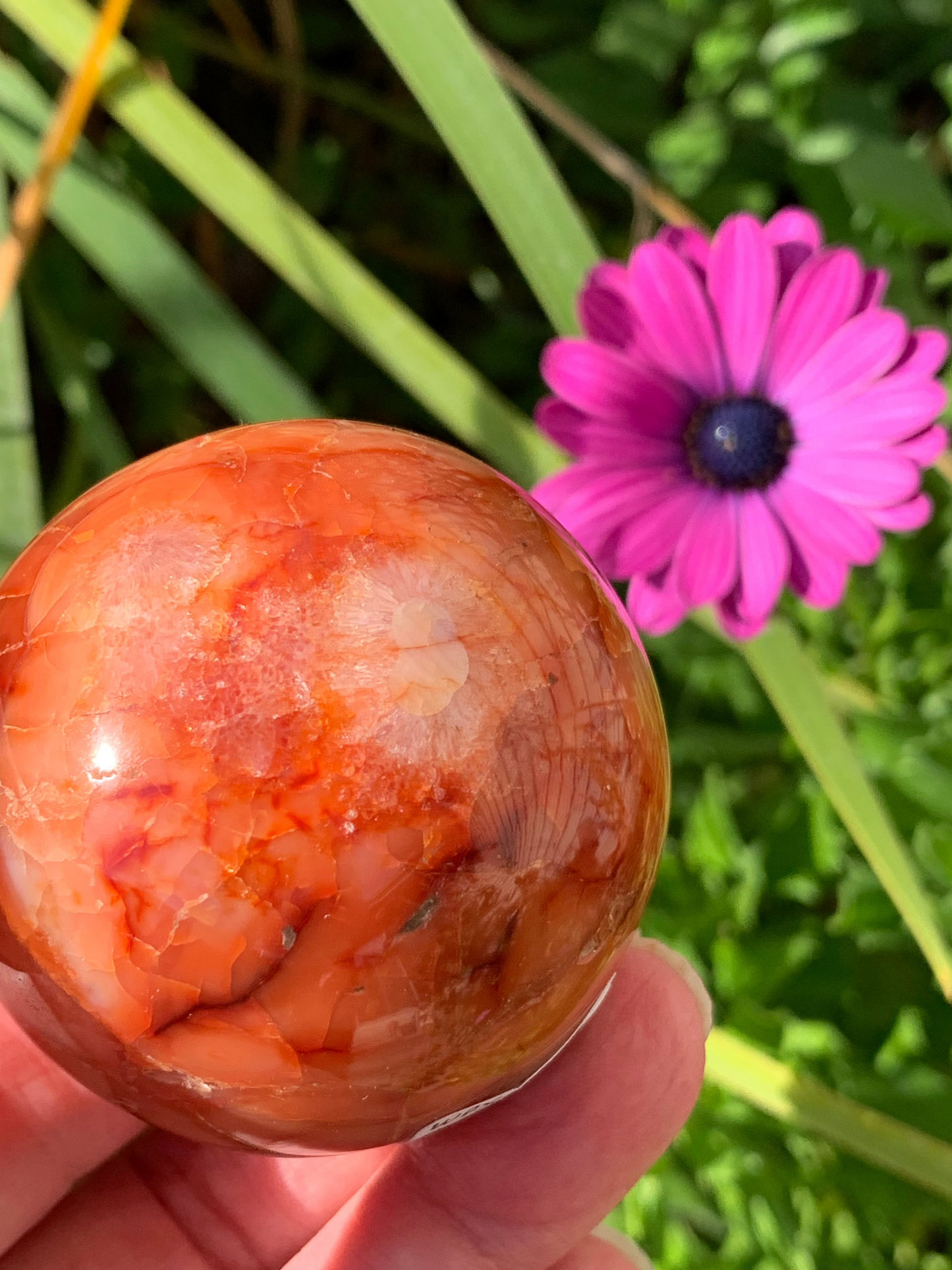 Carnelian Sphere - Madagascar