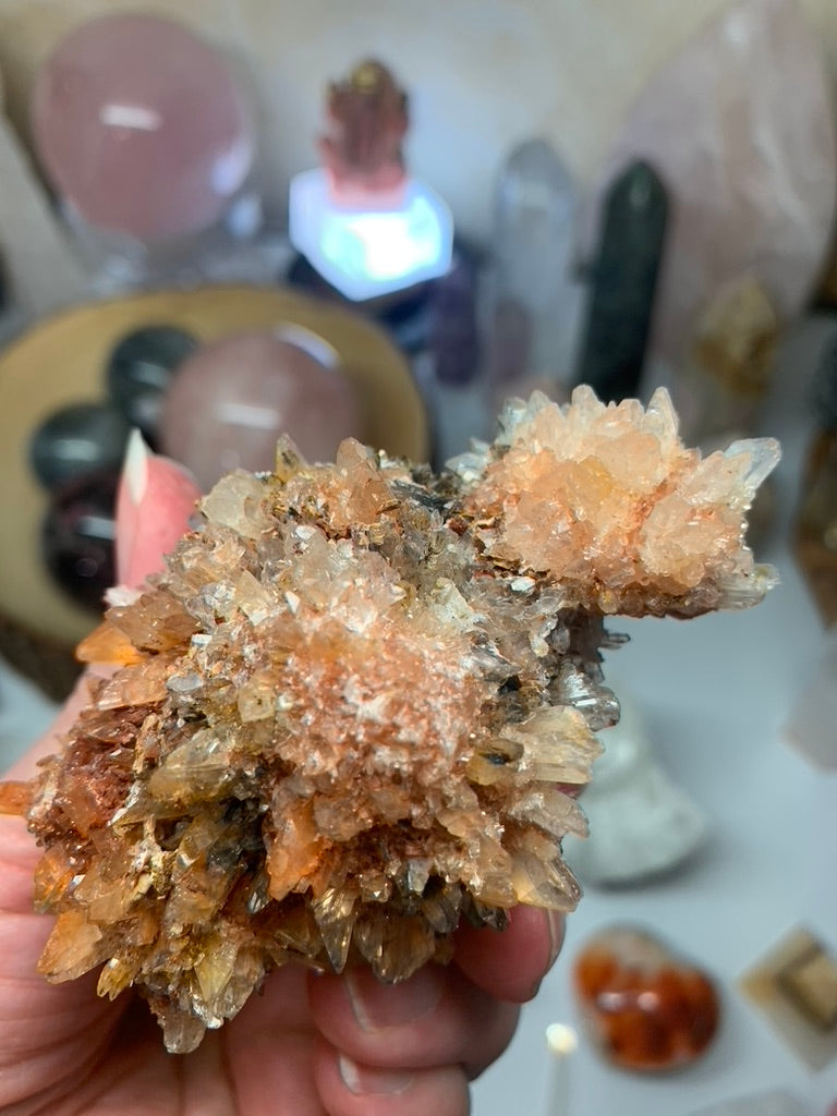 Creedite - Mexico