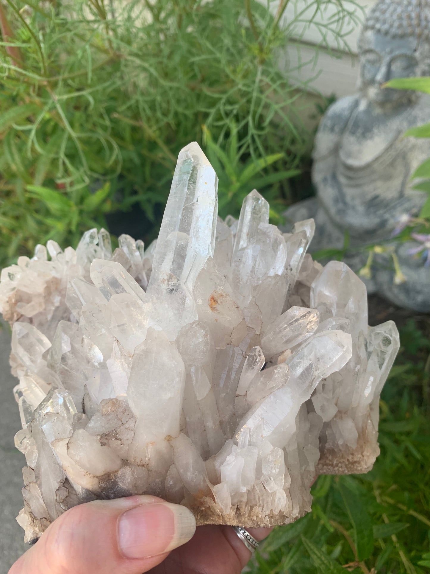 Lemurian Quartz Cluster