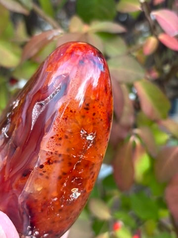 Carnelian Free Form - Madagascar