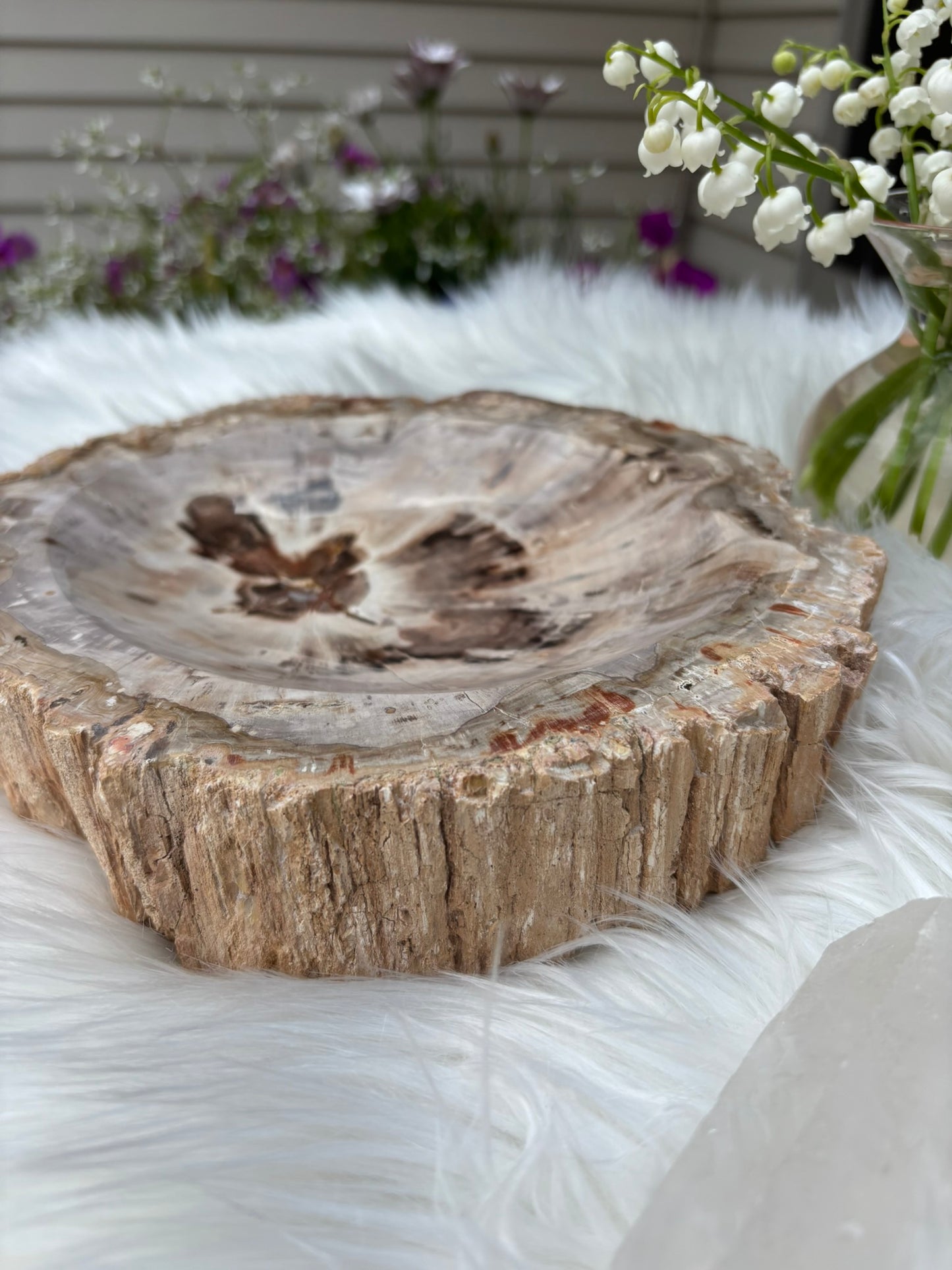 Petrified Wood Bowl  - Madagascar