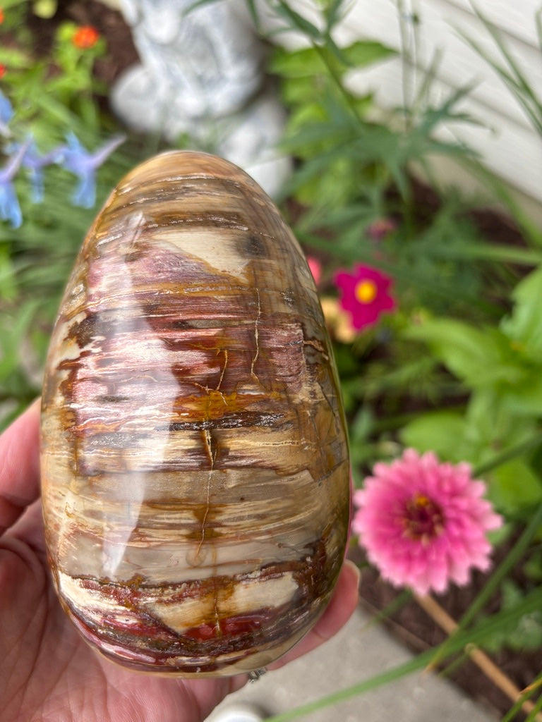 Petrified Wood - Free Form - Madagascar