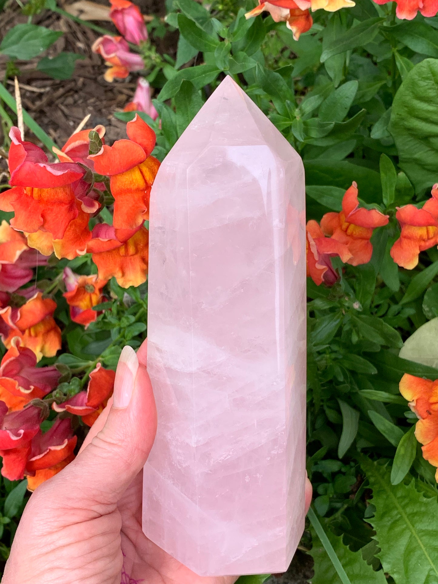 Rose Quartz Generator - Madagascar