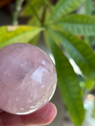 Rose Quartz | Sphere | Madagascar