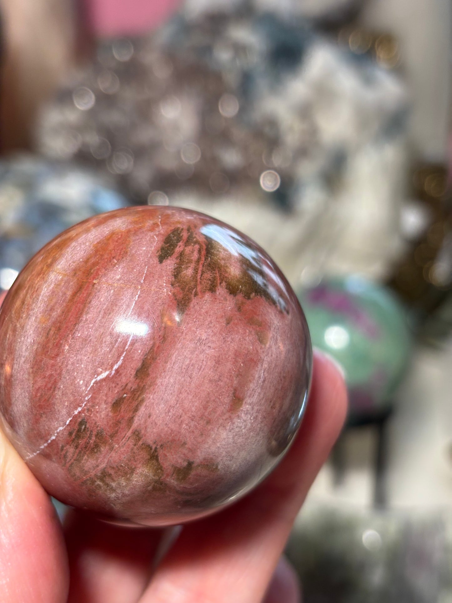 Petrified Wood Sphere - Madagascar