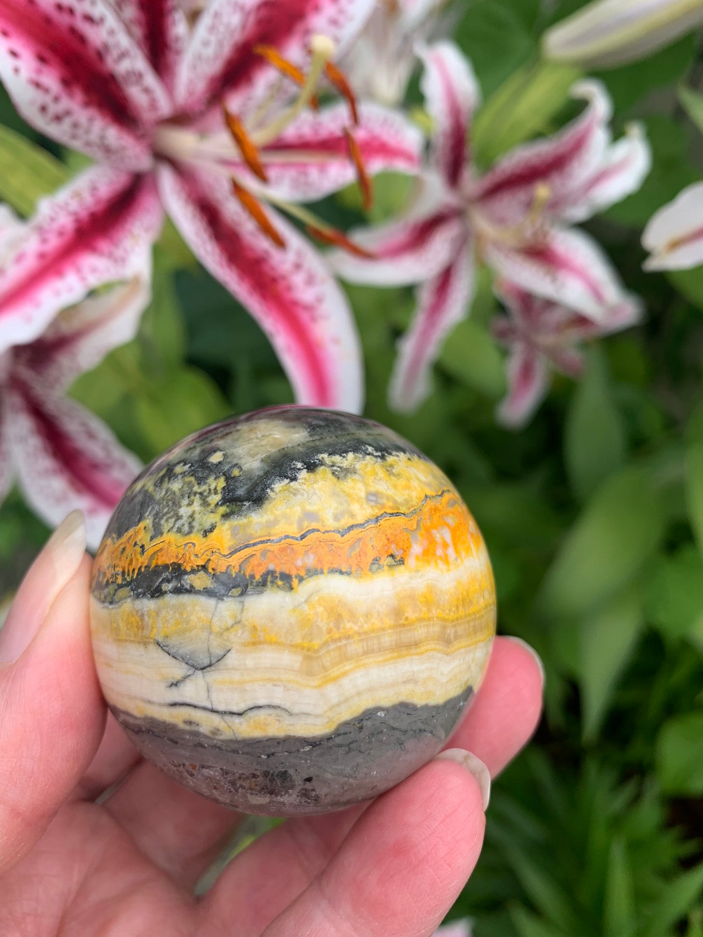 Bumble Bee Jasper Sphere