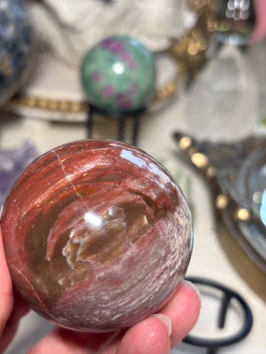 Petrified Wood Sphere - Madagascar