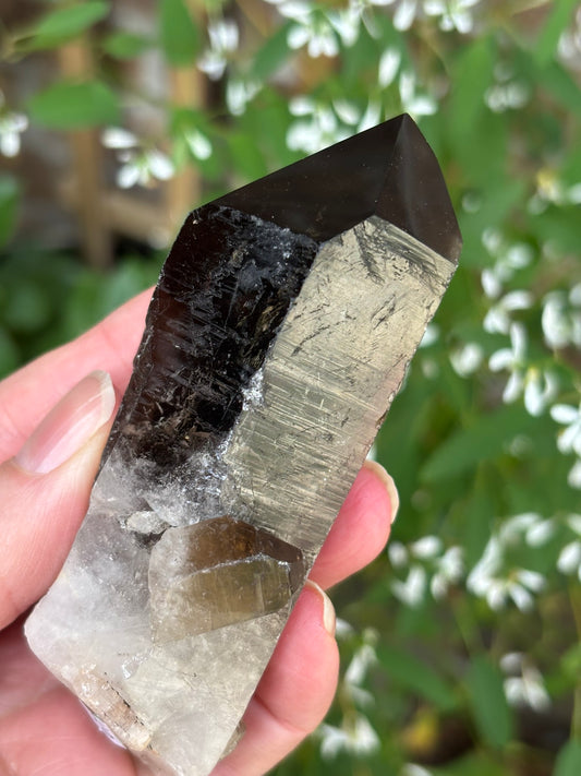 Smokey Quartz Point  - Brazil
