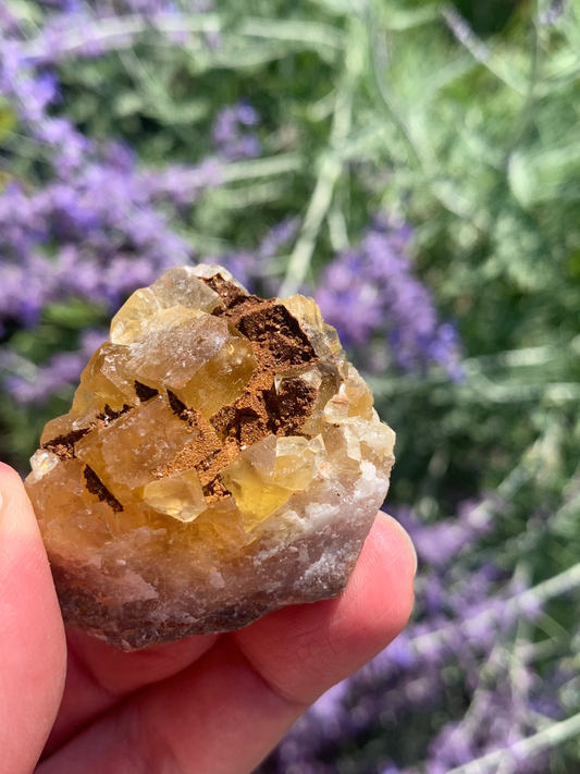 Cubic Yellow Fluorite cluster