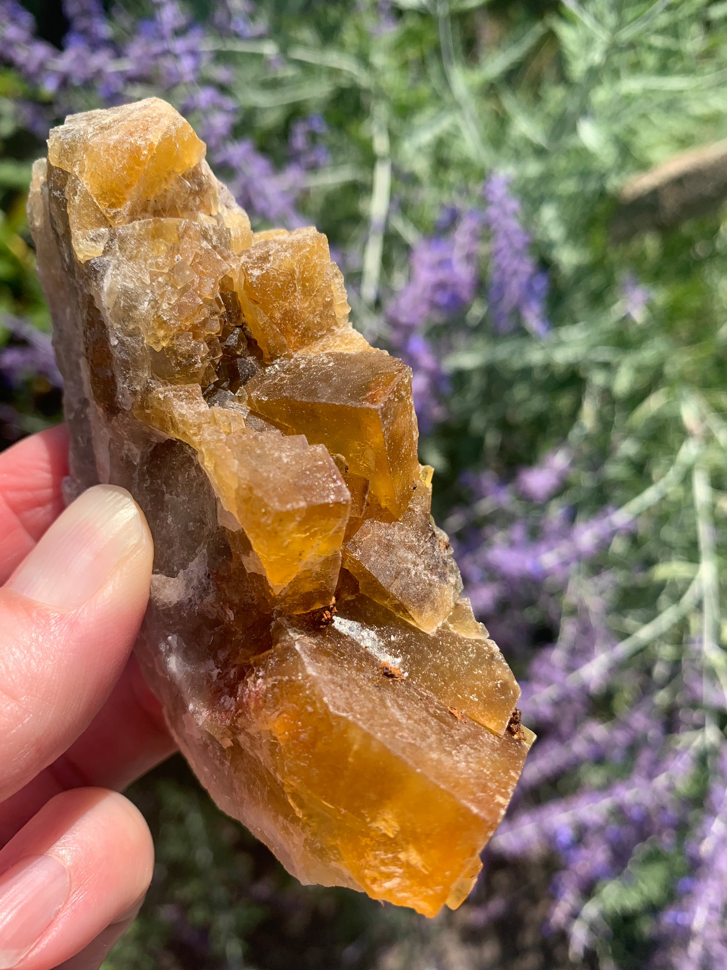 Cubic Yellow Fluorite cluster