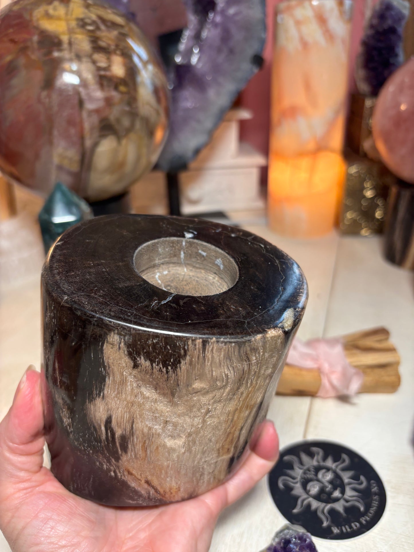 Petrified Wood Sphere Stand - Indonesia