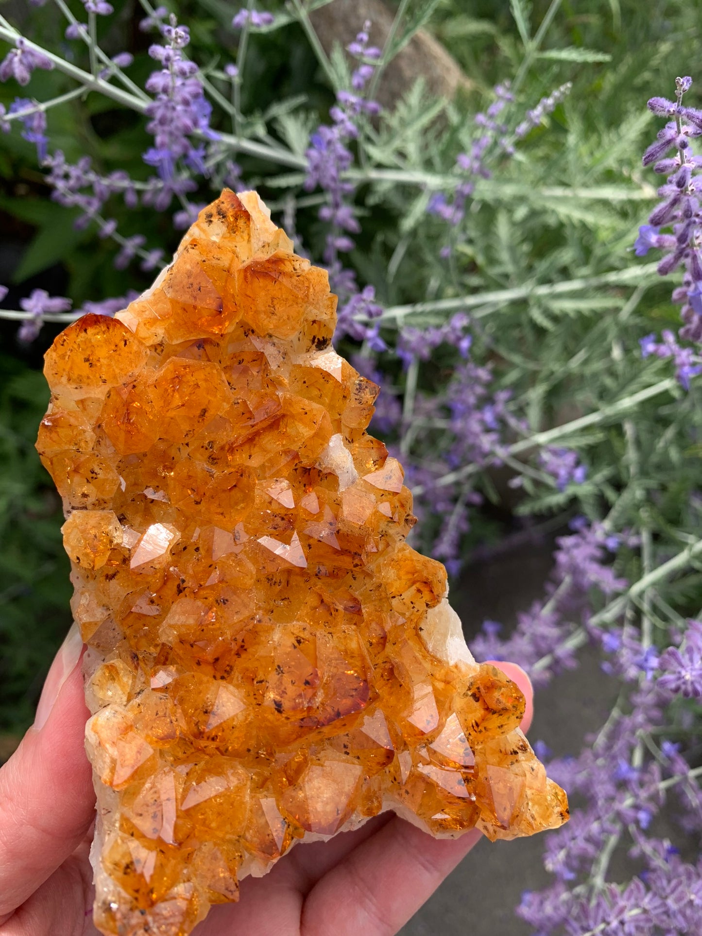 Golden Amethyst - Citrine Cluster - Madagascar