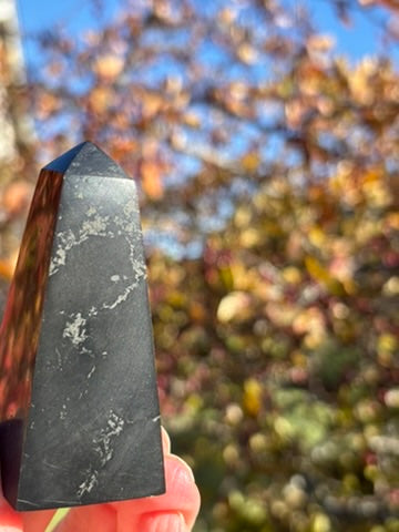 Shungite Obelisk - Russia