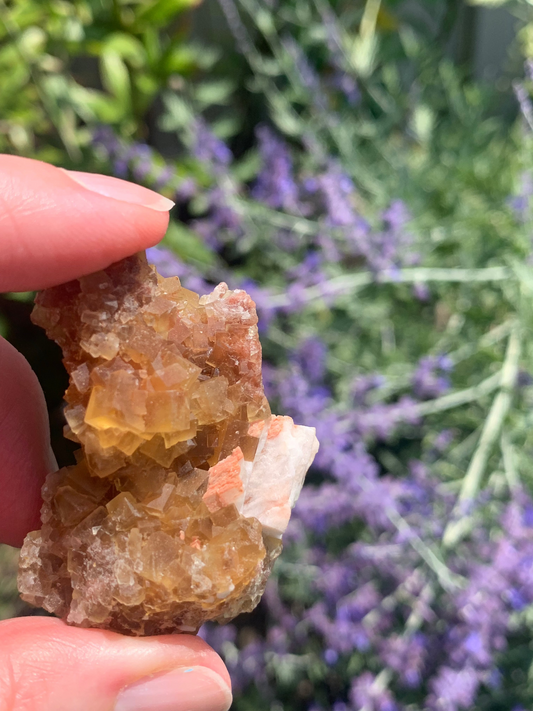 Cubic Yellow Fluorite cluster