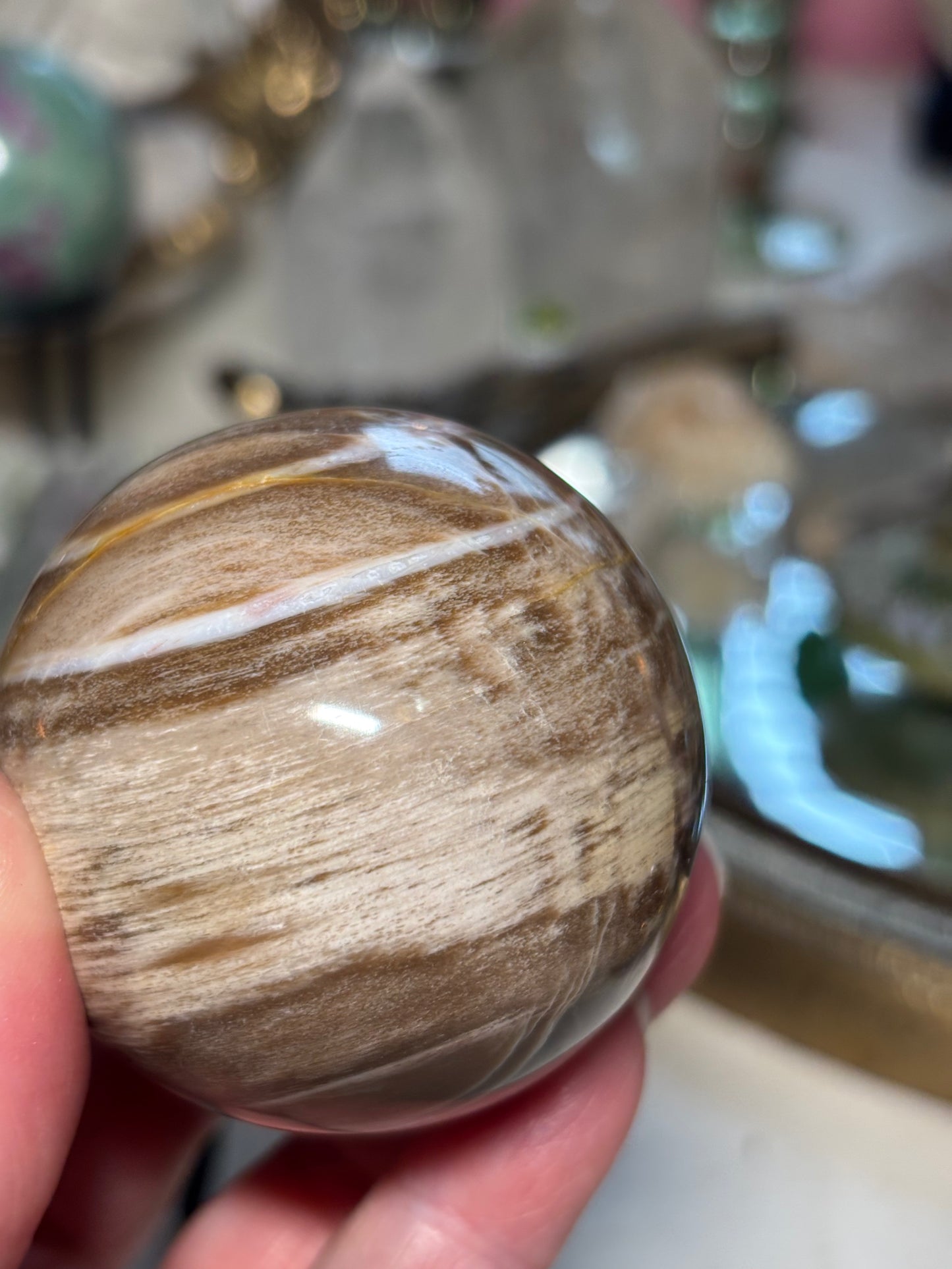 Petrified Wood Sphere - Madagascar