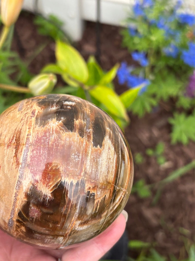 Petrified Wood Sphere - Madagascar