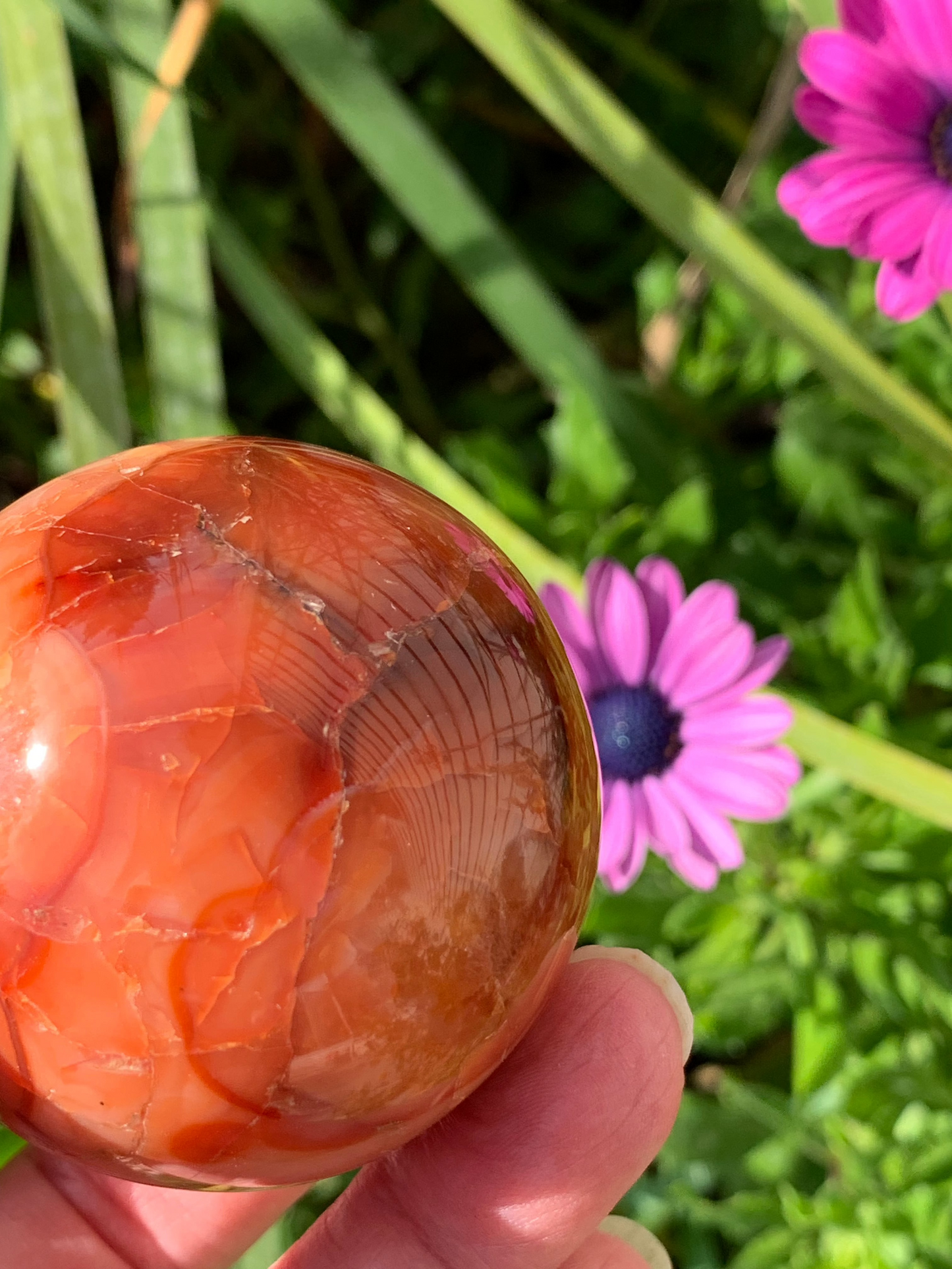 Carnelian Sphere - Madagascar