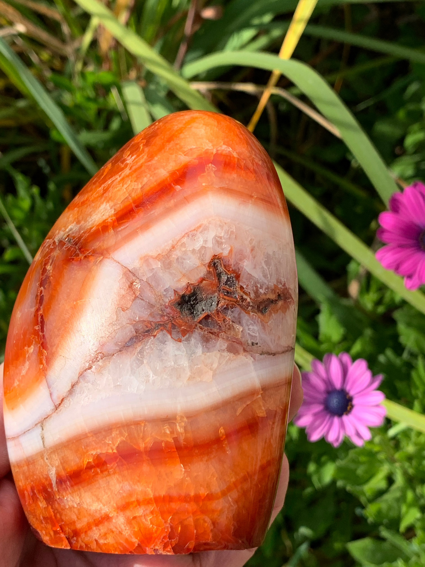 Carnelian Free Form - Madagascar