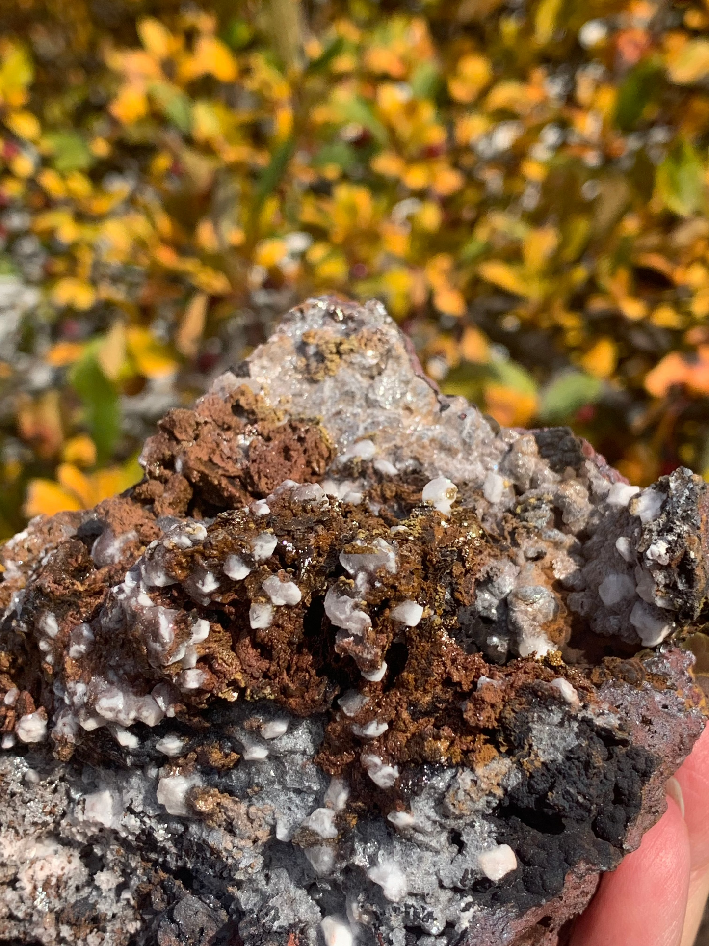 Goethite and Calcite with inclusions Cluster - Morocco