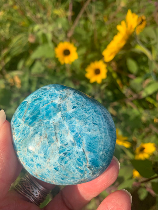 Blue Apatite Palm Stone