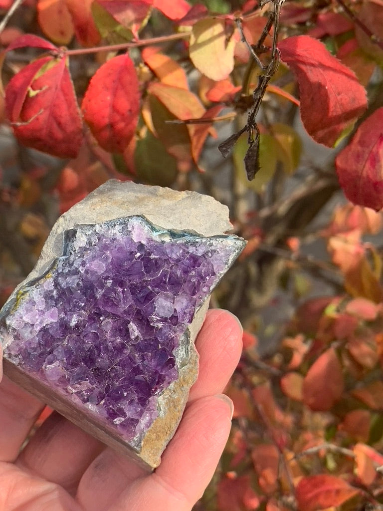 Amethyst Cluster cut bottom