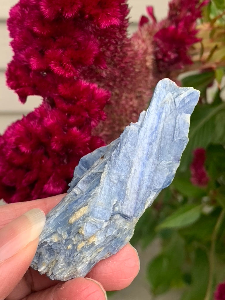 Blue Kyanite with Quartz and Garnet Inclusions natural - Brazil